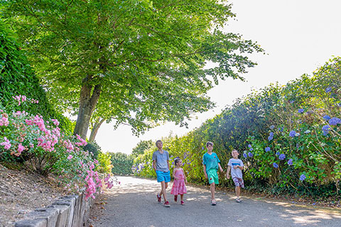 Domaine de Bel Air