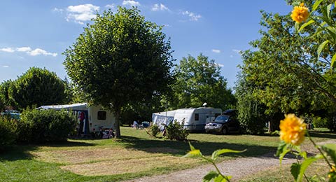 Les Bois du Bardelet
