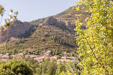 Les Princes d'Orange